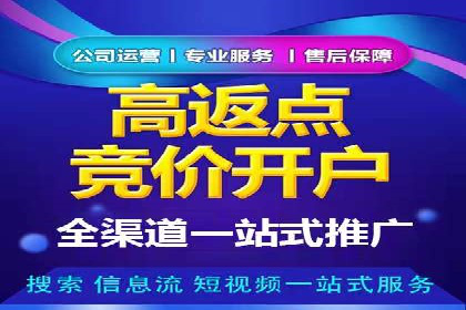 SEM主管实战技巧：案例分享与解读